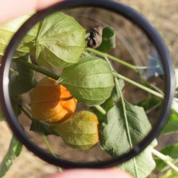 Benefícios da lente polarizada, saiba tudo sobre elas!