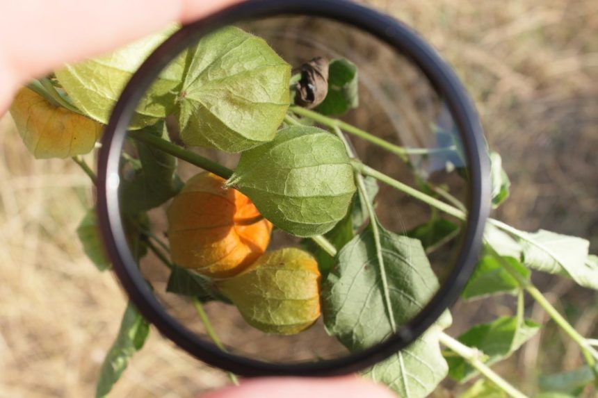 Benefícios da lente polarizada, saiba tudo sobre elas!